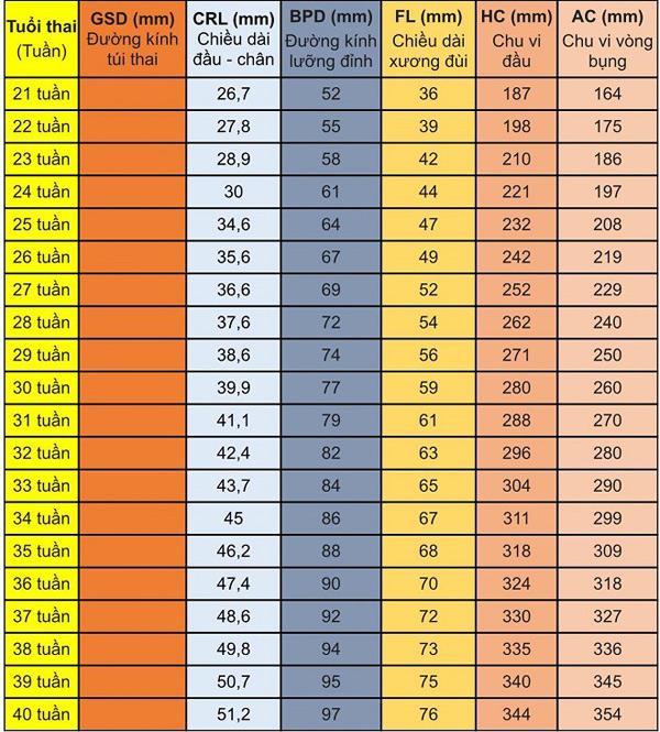Chỉ số phát triển của thai nhi chuẩn theo từng tuần - 2
