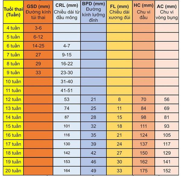 Chỉ số phát triển của thai nhi chuẩn theo từng tuần - 1