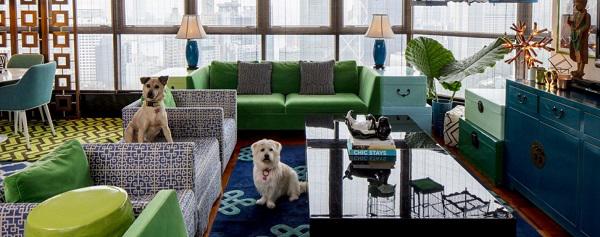 ngoi nha “bay sac cau vong” dep khong tuong ma nu thuong gia danh cho con gai - 1