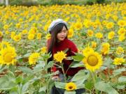 Du lịch - Chỉ với hơn 1 triệu đồng, cô nàng 9x “thả ga” khám phá trọn vẹn Đà Lạt ngàn hoa