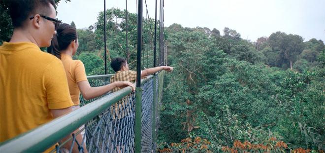 Bỏ túi 8 mẹo du lịch Singapore cùng gia đình Hoàng Bách - 2