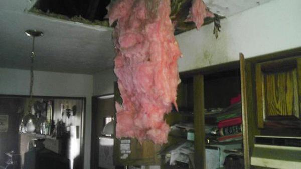 Đi chơi về, chàng trai hoảng hồn thấy nhà tan nát, ngập rác, hóa ra thủ phạm quá khó ngờ - 3