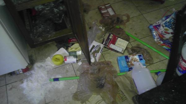 Đi chơi về, chàng trai hoảng hồn thấy nhà tan nát, ngập rác, hóa ra thủ phạm quá khó ngờ - 6