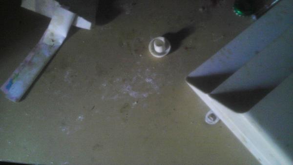 Đi chơi về, chàng trai hoảng hồn thấy nhà tan nát, ngập rác, hóa ra thủ phạm quá khó ngờ - 7