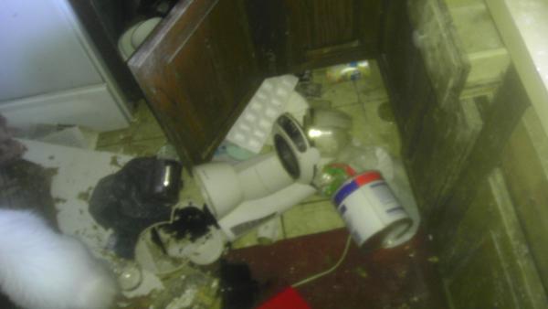 Đi chơi về, chàng trai hoảng hồn thấy nhà tan nát, ngập rác, hóa ra thủ phạm quá khó ngờ - 8