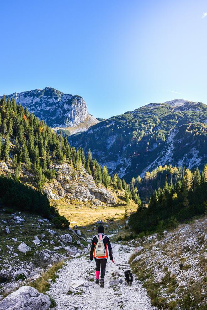Nín thở trong một màu xanh tuyệt đẹp ở Slovenia - 1