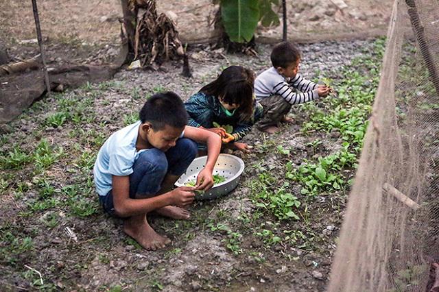 Một ngày amp;#34;xoay như chong chóngamp;#34; của ông bố một mình nuôi 8 con - 11