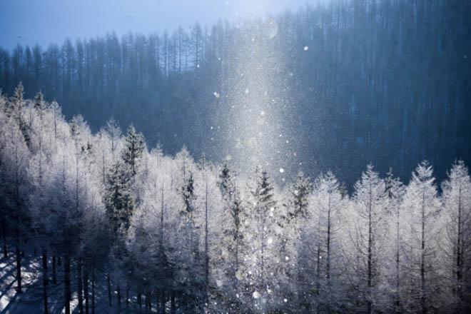 Lặng ngắm không gian núi đồi Hokkaido chìm đắm trong bụi kim cương - 5