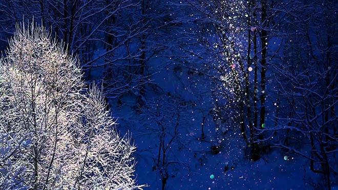 Lặng ngắm không gian núi đồi Hokkaido chìm đắm trong bụi kim cương - 6