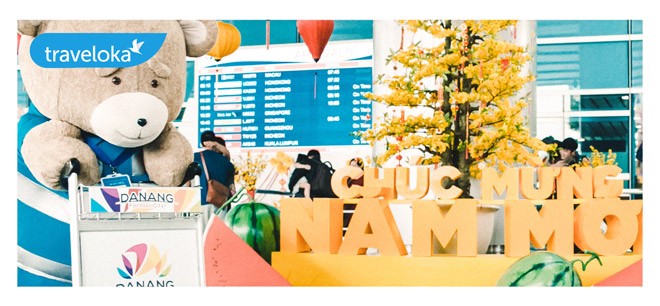 Gia đình gấu mập cực dễ thương làm náo loạn sân bay quốc tế Đà Nẵng - 4