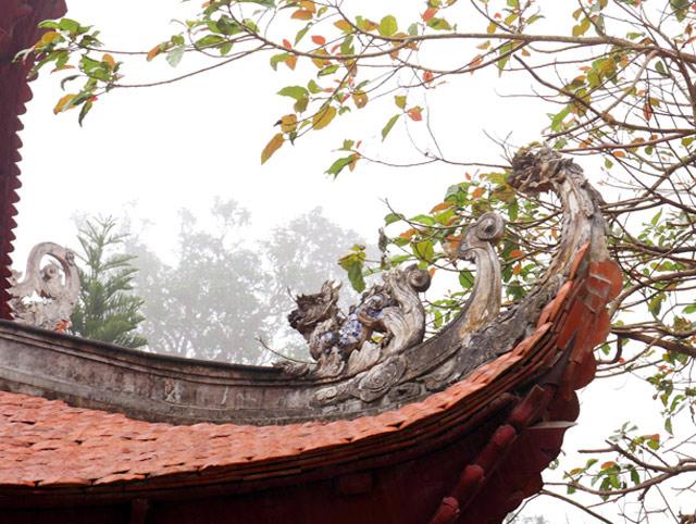 Ít người biết, ngay gần Hà Nội đã có rừng phong lá đỏ - 9