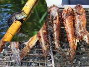 Du lịch - Tới Cà Mau đừng bỏ qua món cá "có chân" leo cây thoăn thoắt