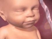 Bà bầu - Không chỉ ngủ và đạp, em bé còn biết làm đủ trò thú vị trong bụng mẹ