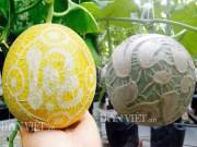 Nhà đẹp - Ngắm giàn dưa lưới in chữ siêu "độc" của chàng trai 9X Đồng Tháp