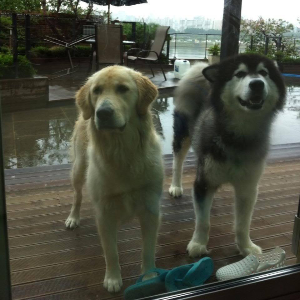 Ngôi sao 24/7: Bị mắng chửi quá nhiều, Tăng Chí Vỹ họp báo giải thích tin cưỡng dâm đàn em - 9