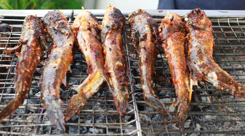 Tới Cà Mau đừng bỏ qua món cá amp;#34;có chânamp;#34; leo cây thoăn thoắt - 9