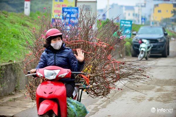 Ảnh: Đào Nhật Tân khoe sắc xuống phố đón Tết sớm - 14