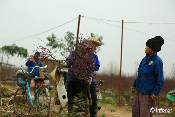 Ảnh: Đào Nhật Tân khoe sắc xuống phố đón Tết sớm - 3