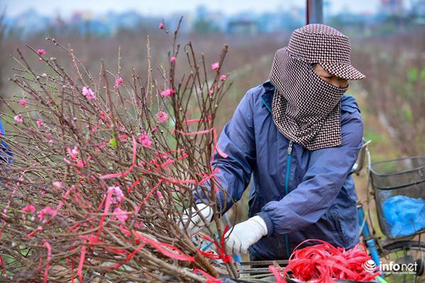 Ảnh: Đào Nhật Tân khoe sắc xuống phố đón Tết sớm - 9