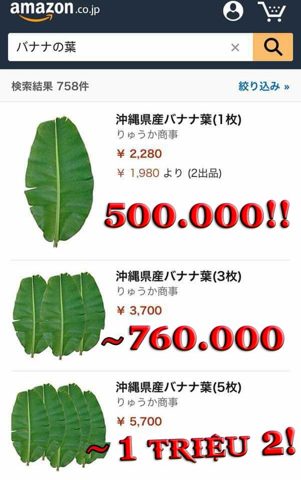 Ở Việt Nam thì rẻ như cho, sang Nhật lá chuối có giá 500 nghìn đồng/lá - 2