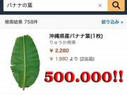 Bếp Eva - Ở Việt Nam thì rẻ như cho, sang Nhật lá chuối có giá 500 nghìn đồng/lá