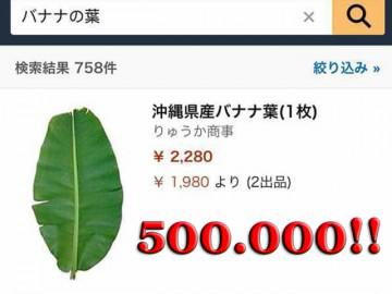 Ở Việt Nam thì rẻ như cho, sang Nhật lá chuối có giá 500 nghìn đồng/lá