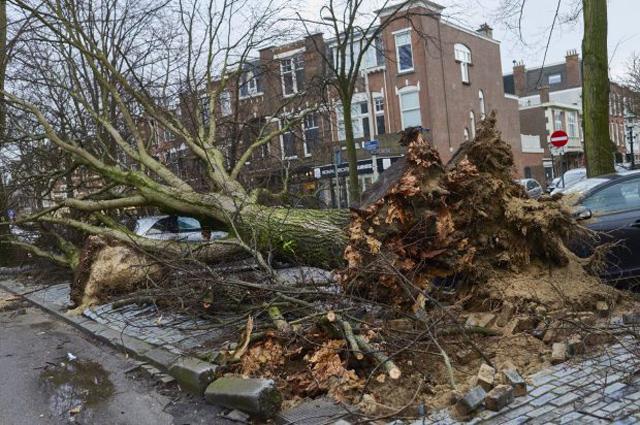 Khoảnh khắc gió cực mạnh thổi người bay như lá cây, ai xem cũng hãi hùng - 2