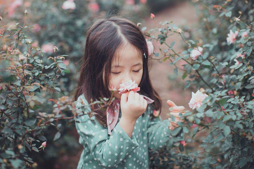 Gặp lại 2 cô nhóc đáng yêu từng gây amp;#34;sốtamp;#34; trong bộ ảnh amp;#34;sợ chóamp;#34; cách đây một năm - 7