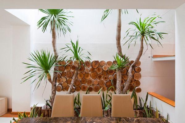 can nha o ben nghe co gi hay ma bao ngoai thi nhau “mo xe”? - 12