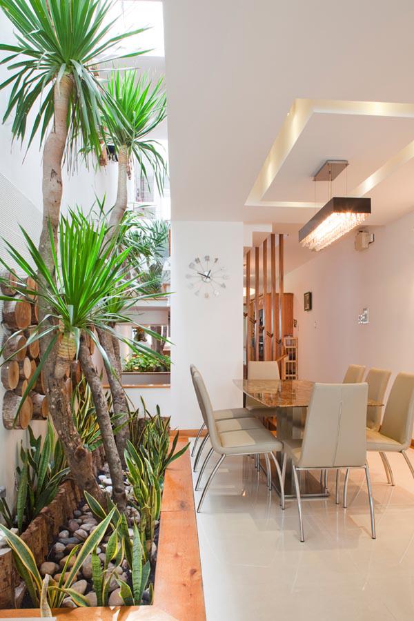 can nha o ben nghe co gi hay ma bao ngoai thi nhau “mo xe”? - 13