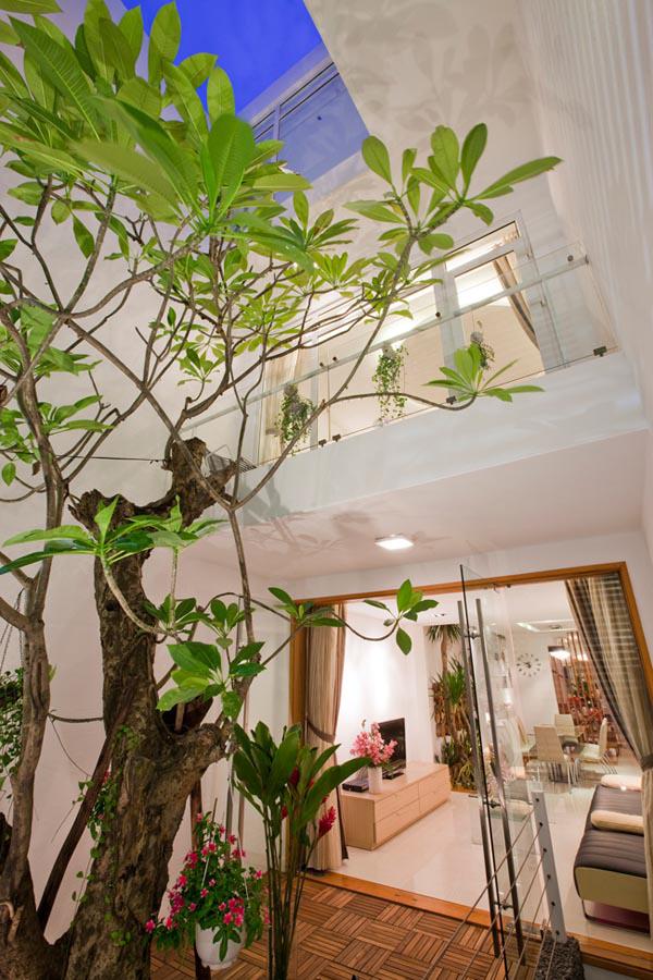 can nha o ben nghe co gi hay ma bao ngoai thi nhau “mo xe”? - 3