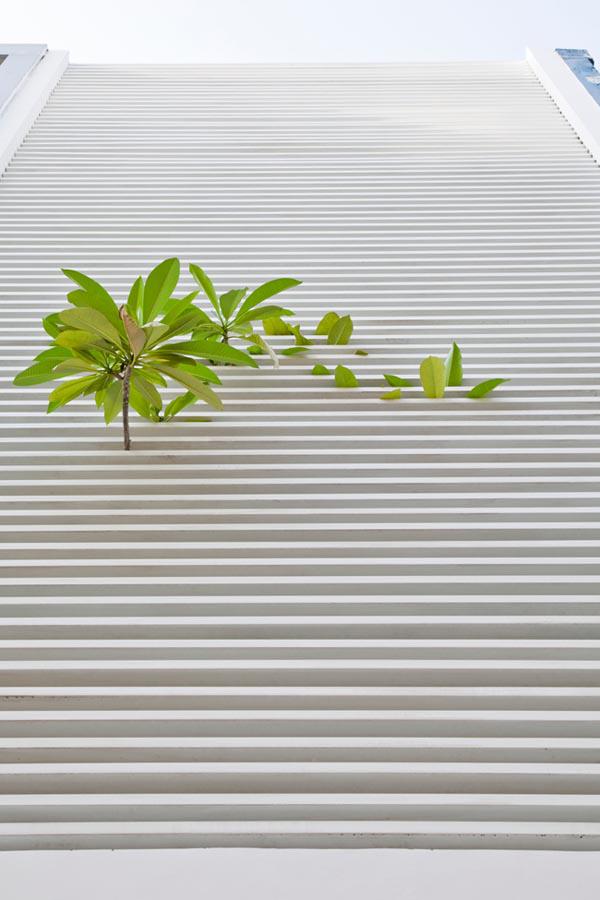 can nha o ben nghe co gi hay ma bao ngoai thi nhau “mo xe”? - 4