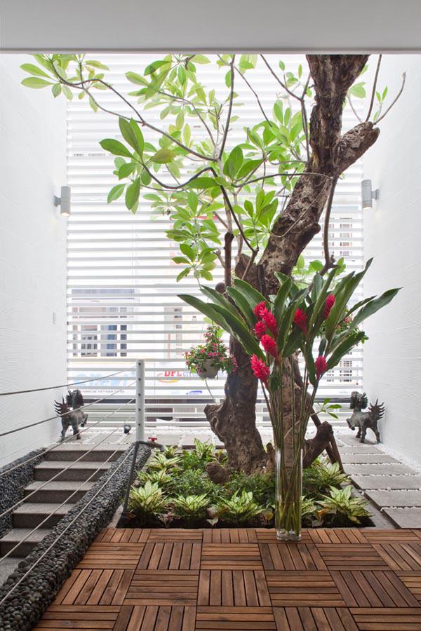 can nha o ben nghe co gi hay ma bao ngoai thi nhau “mo xe”? - 5