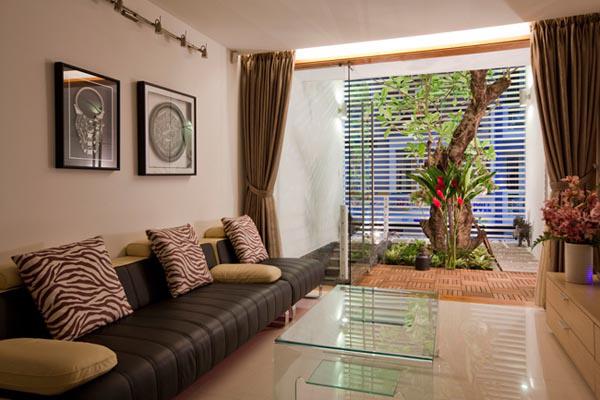 can nha o ben nghe co gi hay ma bao ngoai thi nhau “mo xe”? - 7