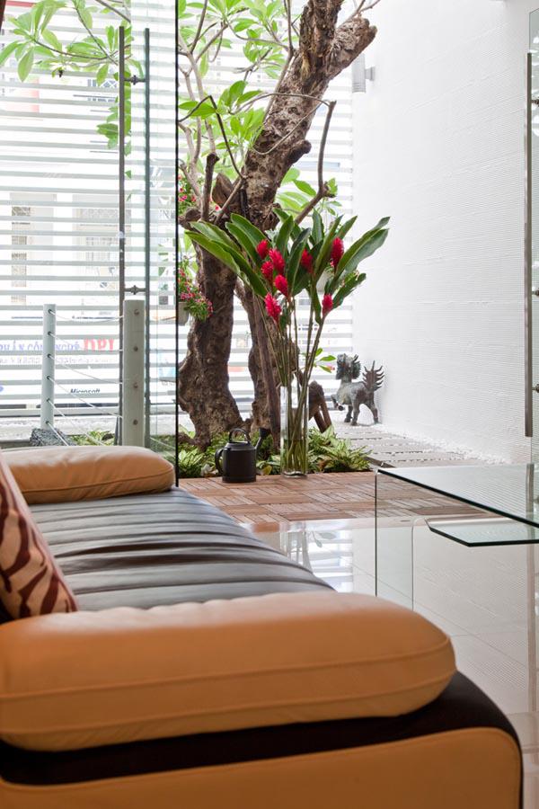 can nha o ben nghe co gi hay ma bao ngoai thi nhau “mo xe”? - 9