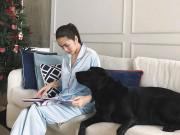 Giải trí - Sao Việt 24h: Khoảnh khắc đời thường của Tăng Thanh Hà khi đọc sách bên cún cưng