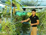 Nhà đẹp - Thầy giáo dạy võ bảnh trai và vườn lan rừng đẹp như mơ