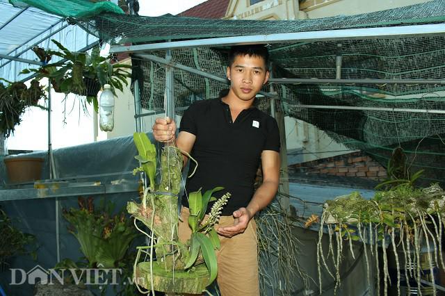 thay giao day vo banh trai va vuon lan rung dep nhu mo - 3