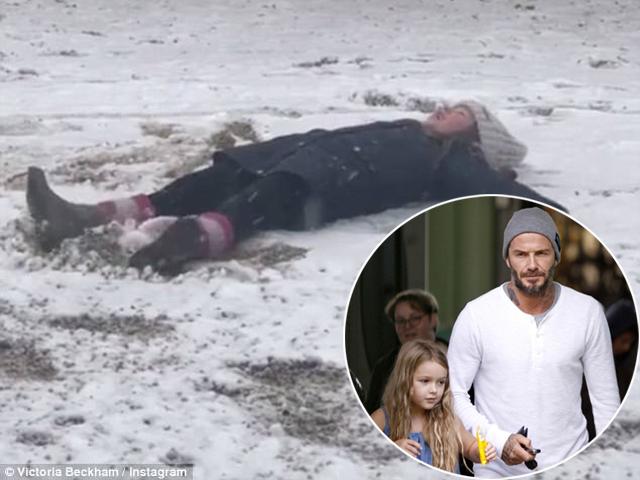 Fan cười đau ruột khi nhóc Harper nằm giữa trời vì muốn làm thiên thần tuyết