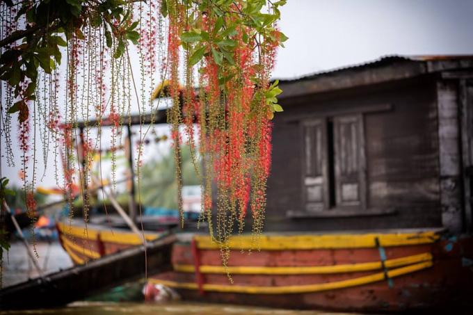 Bí quyết không thể không biết khi du lịch Hội An theo mùa - 5