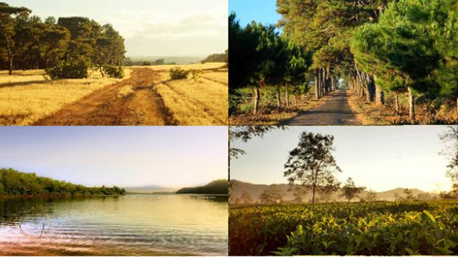 Dành trọn kì nghỉ Tết để vi vu với nắng và gió ở Pleiku - 1