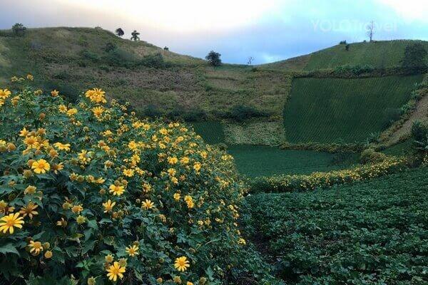 Dành trọn kì nghỉ Tết để vi vu với nắng và gió ở Pleiku - 9