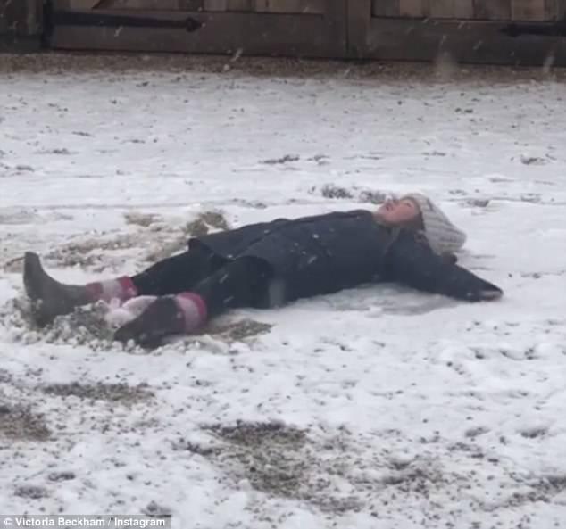 Fan cười đau ruột khi nhóc Harper nằm giữa trời vì muốn làm thiên thần tuyết - 1