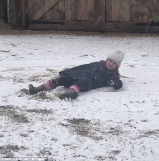 Fan cười đau ruột khi nhóc Harper nằm giữa trời vì muốn làm thiên thần tuyết - 2