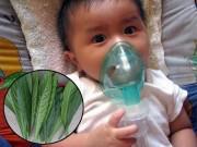 Làm mẹ - Mẹ trẻ mách bài thuốc trị ho cho bé bằng lá xương sông nhưng hàng nghìn chị em phản đối