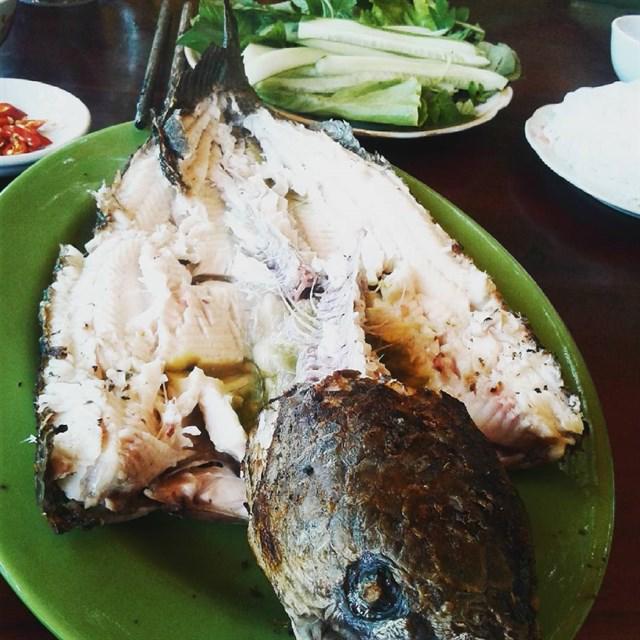 Lặng người trước vẻ đẹp tuyệt tác của rừng tràm Trà Sư - 10