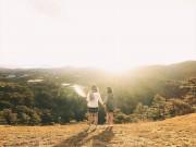 Du lịch - Đà Lạt có gì đặc biệt khiến du khách muốn du lịch ngay dịp đầu năm này?