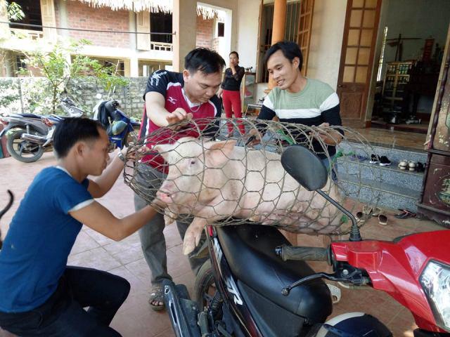 U23 Việt Nam - U23 Qatar: Gia đình thủ môn Bùi Tiến Dũng mổ lợn, thịt nhím đãi cả làng - 1