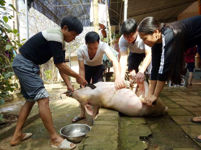 U23 Việt Nam - U23 Qatar: Gia đình thủ môn Bùi Tiến Dũng mổ lợn, thịt nhím đãi cả làng - 2