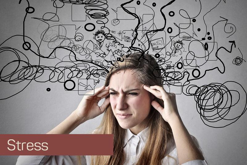 Stress có thể dẫn đến hàng loạt sự rối loạn và làm sản sinh ra chất gây rụng tóc.
